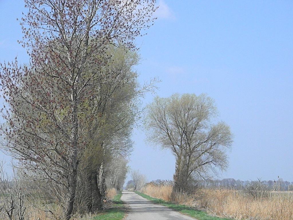 Gasthof Zur Linde Sankt Andra am Zicksee Экстерьер фото